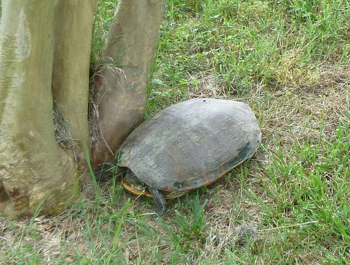 No photo description available.