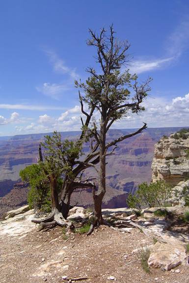 No photo description available.