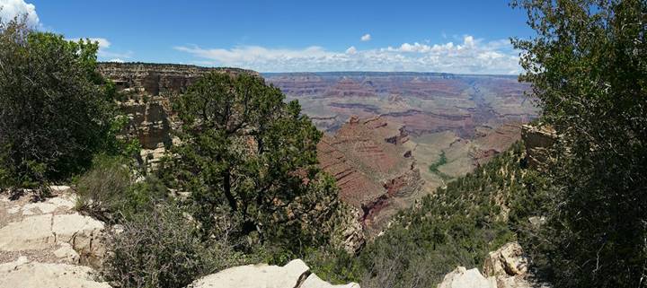 No photo description available.