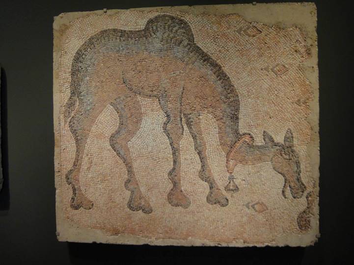 No photo description available.