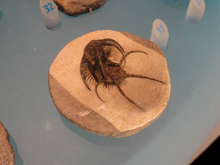 No photo description available.