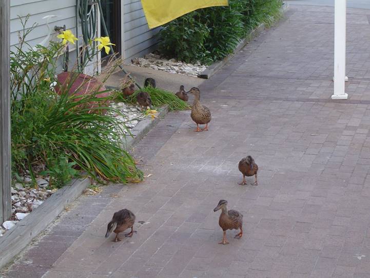 No photo description available.