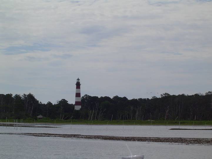 No photo description available.