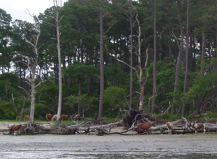 No photo description available.