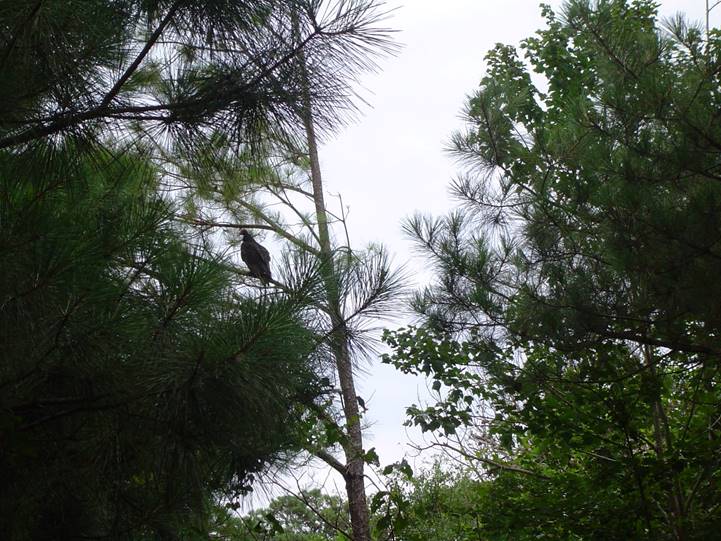 No photo description available.