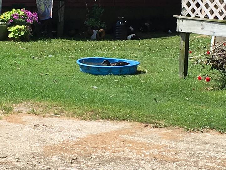 No photo description available.