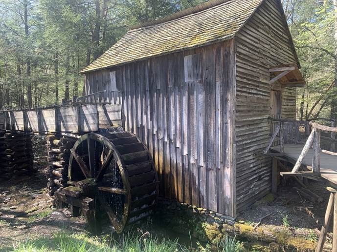 A picture containing outdoor, transport, wheel, plant

Description automatically generated