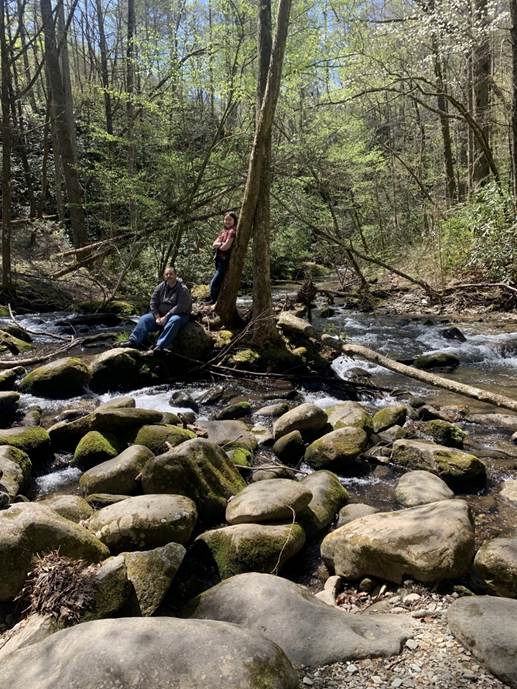 A picture containing outdoor, tree, rock, stream

Description automatically generated