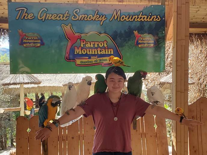 A person with parrots on her shoulders

Description automatically generated with low confidence