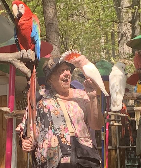 A picture containing bird, parrot, person, clothing

Description automatically generated