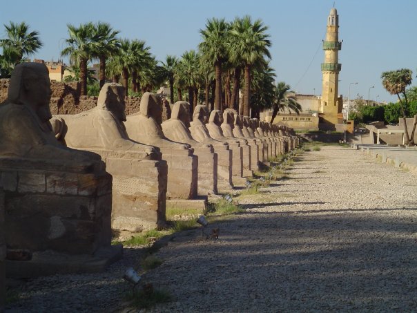 No photo description available.