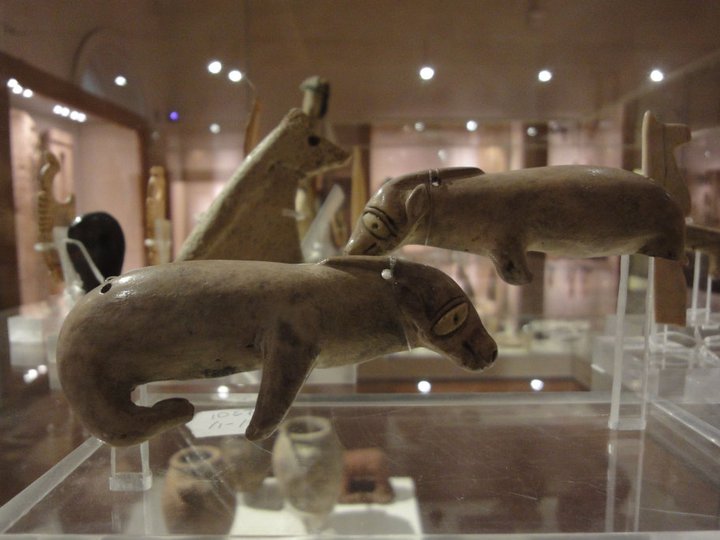 No photo description available.