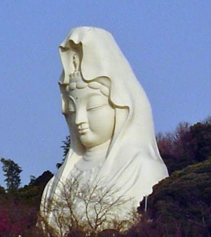 No photo description available.