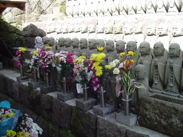 No photo description available.