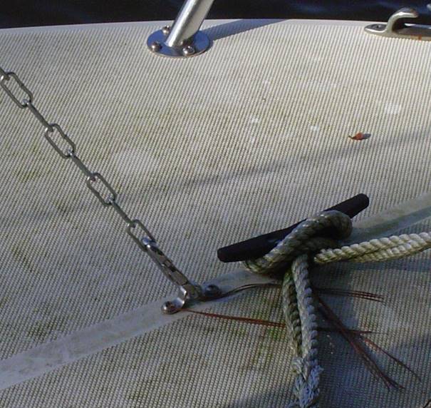 No photo description available.