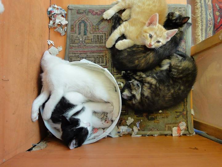 No photo description available.