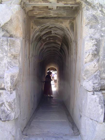 No photo description available.