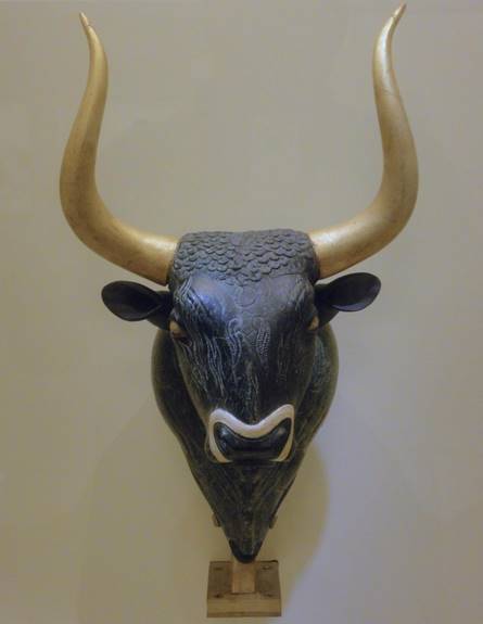 No photo description available.