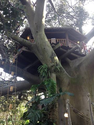 No photo description available.