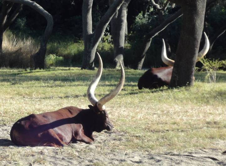 No photo description available.