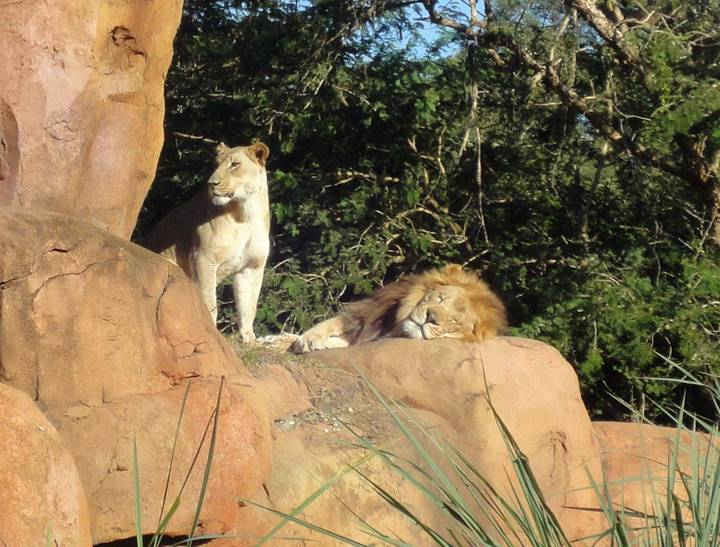 No photo description available.