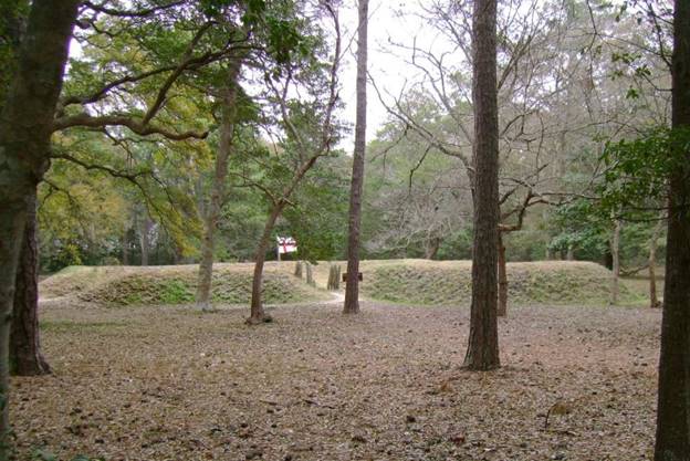 No photo description available.