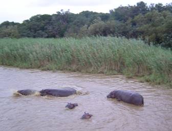 No photo description available.