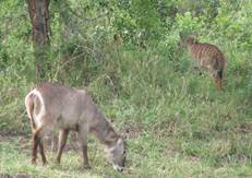 No photo description available.