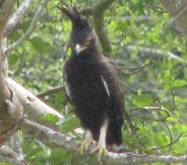 No photo description available.