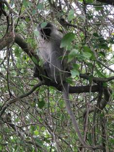 No photo description available.