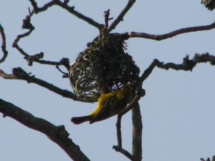 No photo description available.