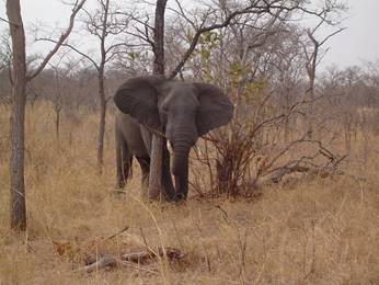 No photo description available.