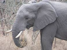 No photo description available.