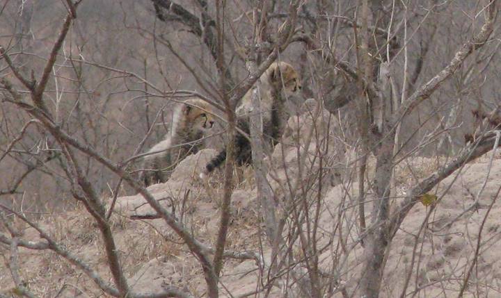 No photo description available.