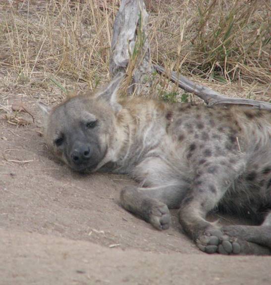 No photo description available.