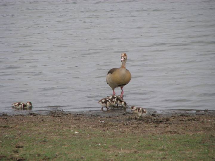 No photo description available.