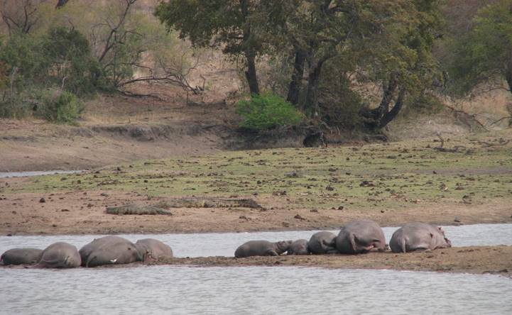 No photo description available.