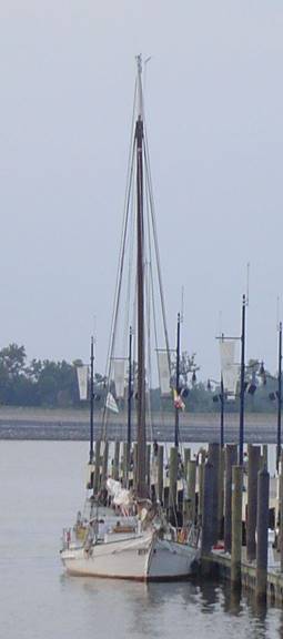 No photo description available.