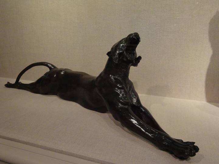 No photo description available.